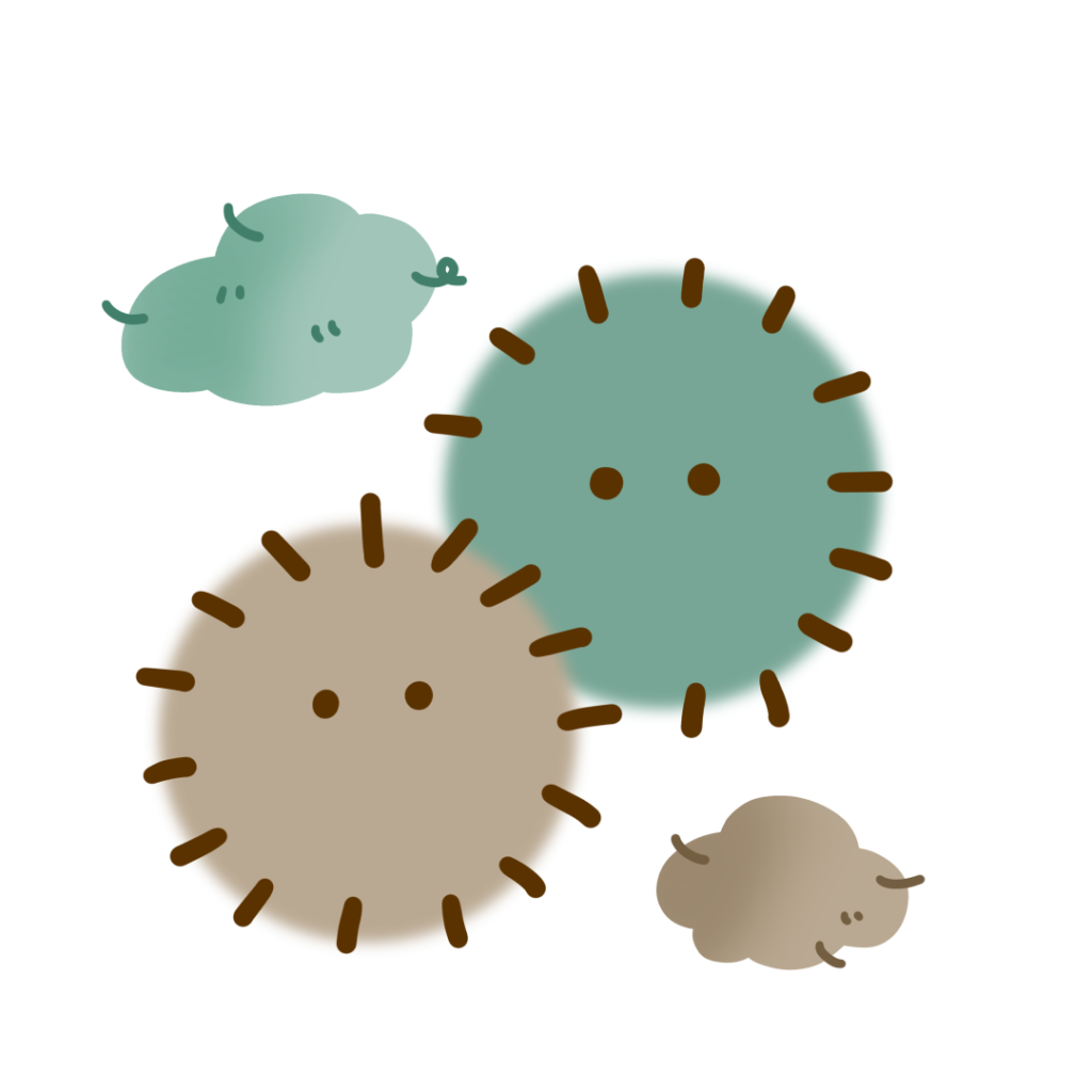 冬のホコリ、意外と見落としています